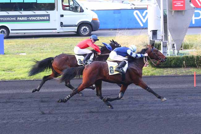 Photo d'arrivée de la course pmu PRIX PAUL BASTARD à PARIS-VINCENNES le Jeudi 16 février 2023