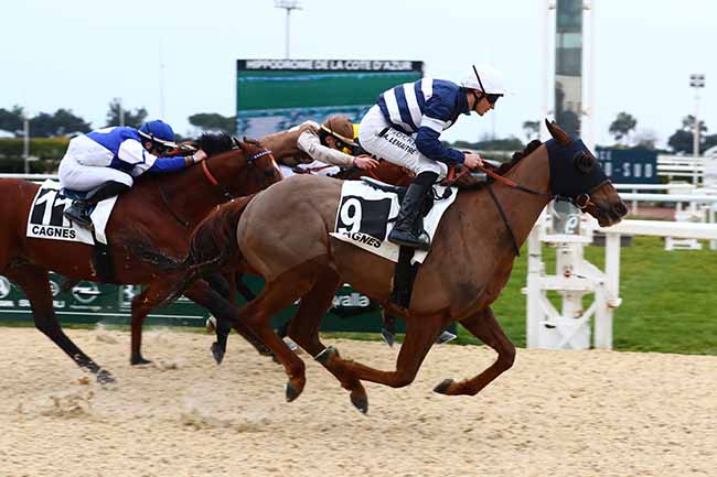 Photo d'arrivée de la course pmu PRIX DU VAL FLEURI ET DES VESPINS (PRIX DE SAINTE-MAXIME) à CAGNES-SUR-MER le Samedi 18 février 2023