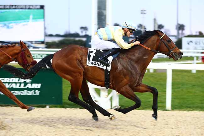 Photo d'arrivée de la course pmu PRIX DES COLETTES-BREGUIERES (PRIX DU GARD) à CAGNES-SUR-MER le Samedi 18 février 2023