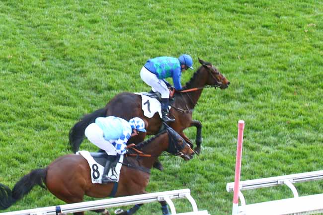 Photo d'arrivée de la course pmu PRIX VARAVILLE à AUTEUIL le Samedi 25 février 2023