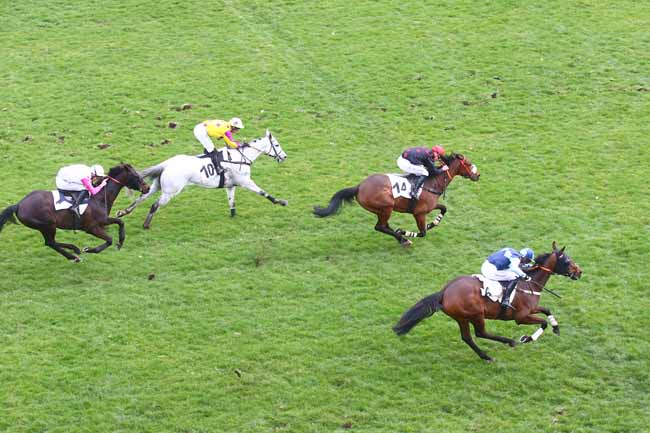 Photo d'arrivée de la course pmu PRIX BEUGNOT à AUTEUIL le Samedi 25 février 2023