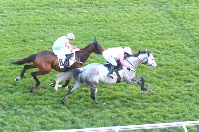Photo d'arrivée de la course pmu PRIX DOUBLON à AUTEUIL le Samedi 25 février 2023