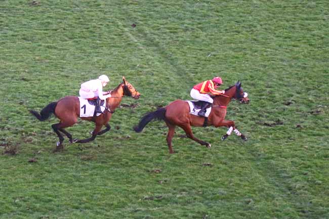 Photo d'arrivée de la course pmu PRIX BOUGIE à AUTEUIL le Samedi 25 février 2023