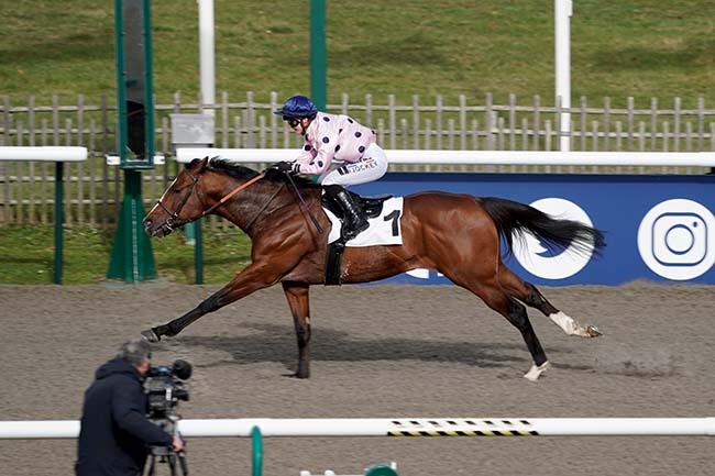 Photo d'arrivée de la course pmu PRIX DE LA ROUTE DES SANGLIERS à CHANTILLY le Samedi 25 février 2023