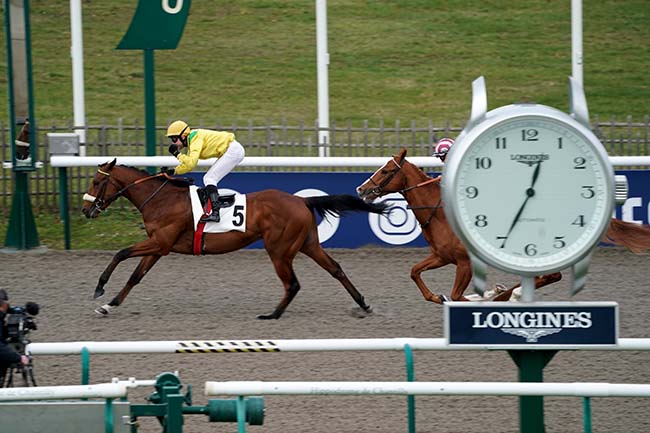 Photo d'arrivée de la course pmu PRIX DU FOUR A TUILE à CHANTILLY le Samedi 25 février 2023
