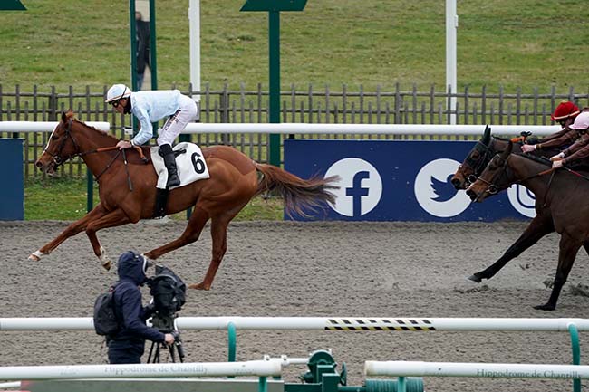 Photo d'arrivée de la course pmu PRIX DE LA ROUTE BOURBON à CHANTILLY le Samedi 25 février 2023