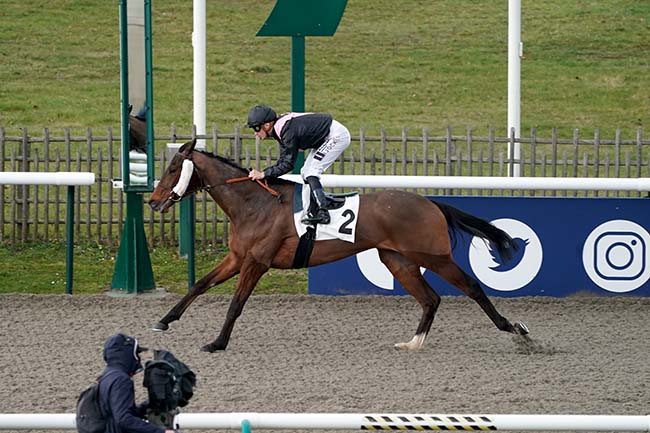 Photo d'arrivée de la course pmu PRIX DE LA PIERRE DE RHUIS à CHANTILLY le Samedi 25 février 2023