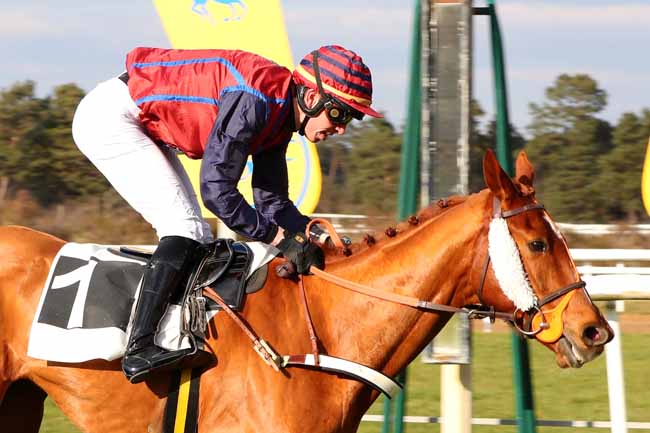 Photo d'arrivée de la course pmu PRIX DES HERONNIERES à FONTAINEBLEAU le Mardi 28 février 2023