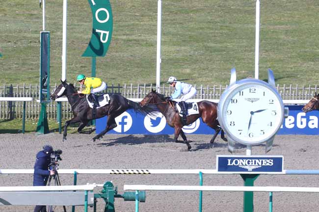 Photo d'arrivée de la course pmu PRIX DU CARREFOUR SAINT-REMY à CHANTILLY le Mercredi 1 mars 2023