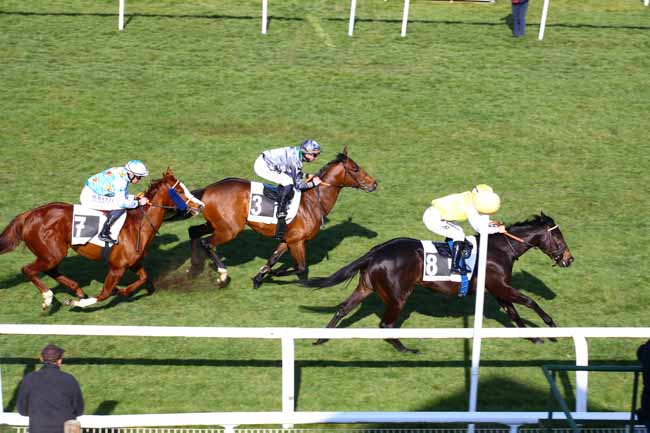 Photo d'arrivée de la course pmu PRIX DU ROCHER DE BOULIGNY à FONTAINEBLEAU le Vendredi 3 mars 2023