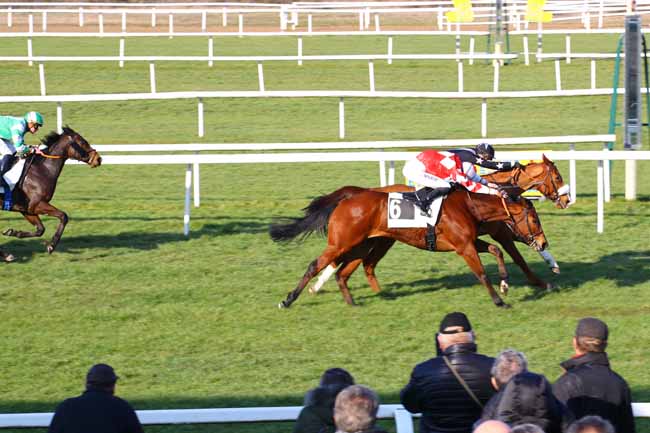 Photo d'arrivée de la course pmu PRIX DE LA FONTAINE DESIREE à FONTAINEBLEAU le Vendredi 3 mars 2023