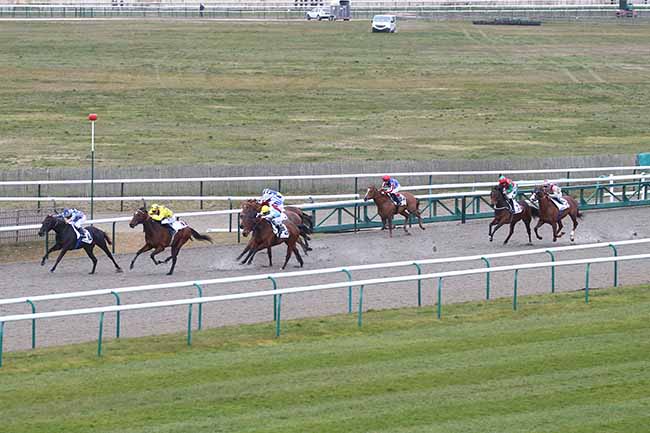 Photo d'arrivée de la course pmu PRIX ANABAA à CHANTILLY le Samedi 4 mars 2023