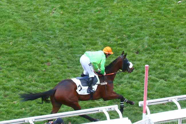 Photo d'arrivée de la course pmu PRIX SOUVIENS-TOI à AUTEUIL le Dimanche 5 mars 2023