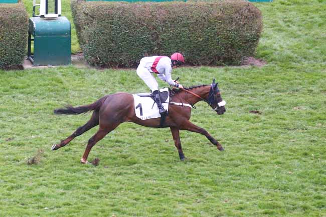 Photo d'arrivée de la course pmu PRIX OISELEUR à AUTEUIL le Dimanche 5 mars 2023