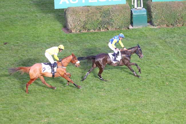 Photo d'arrivée de la course pmu PRIX JEAN-CLAUDE EVAIN à AUTEUIL le Dimanche 5 mars 2023