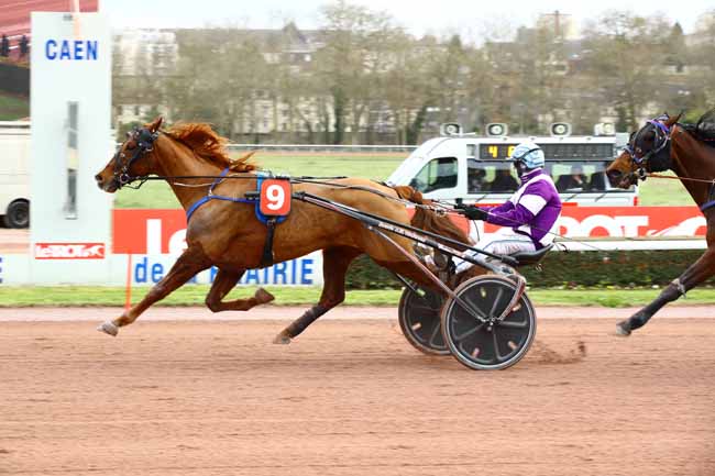 Photo d'arrivée de la course pmu PRIX D'ONDEFONTAINE à CAEN le Lundi 6 mars 2023