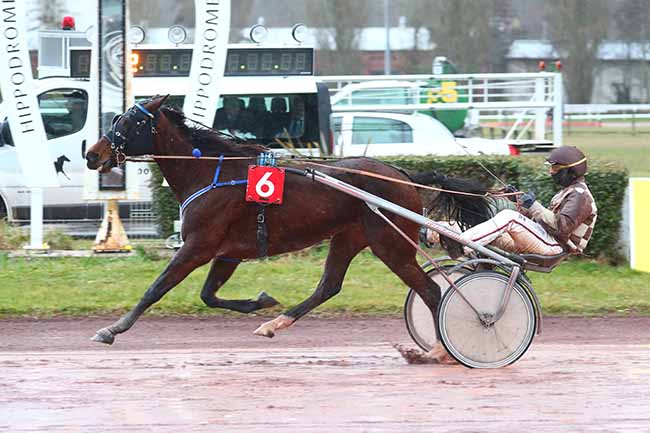 Photo d'arrivée de la course pmu PRIX DU CAFE DE LA MAIRIE DE BOVES à AMIENS le Mercredi 8 mars 2023