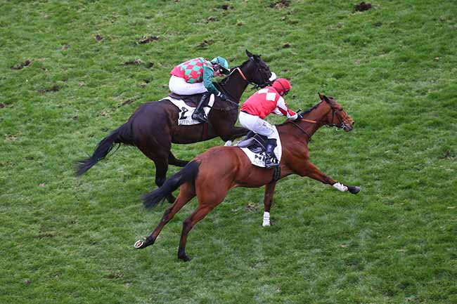 Photo d'arrivée de la course pmu PRIX DE LA SOURCE à AUTEUIL le Samedi 11 mars 2023