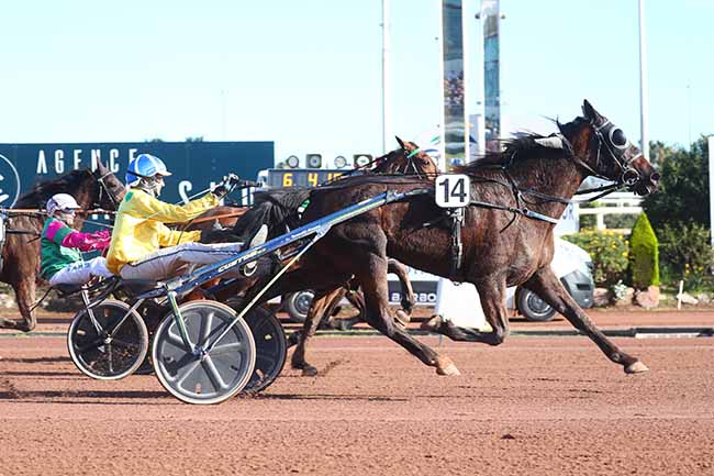 Photo d'arrivée de la course pmu PRIX ANDRE VIGUIER (PRIX DE LIVOURNE) à CAGNES-SUR-MER le Dimanche 12 mars 2023