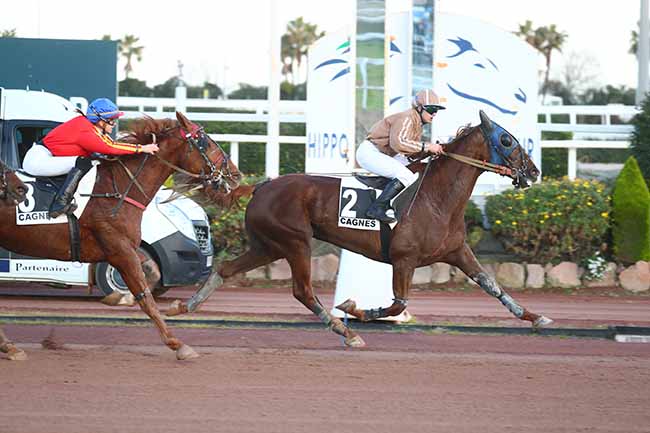 Photo d'arrivée de la course pmu PRIX D'ALBENGA à CAGNES-SUR-MER le Dimanche 12 mars 2023