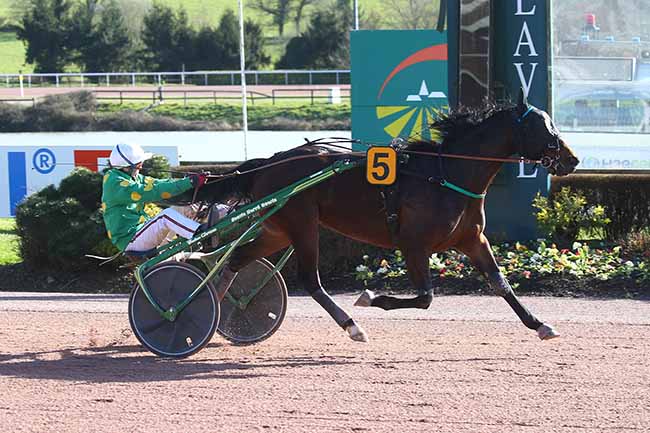 Photo d'arrivée de la course pmu PRIX FRANCE BLEU MAYENNE à LAVAL le Mardi 14 mars 2023