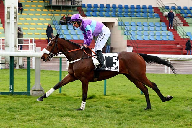 Photo d'arrivée de la course pmu PRIX DU COMMANDANT BOSSUT à COMPIEGNE le Mardi 14 mars 2023