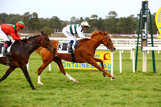 Photo d'arrivée de la course pmu PRIX DE LA DAME JOUANNE à FONTAINEBLEAU le Vendredi 17 mars 2023