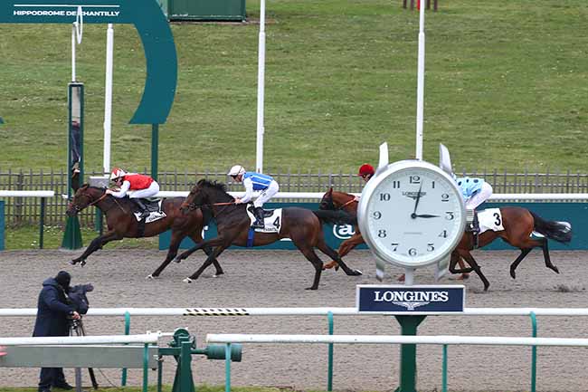 Photo d'arrivée de la course pmu PRIX DU BELVEDERE à CHANTILLY le Mardi 21 mars 2023