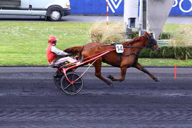 Photo d'arrivée de la course pmu PRIX DE MEAUX à PARIS-VINCENNES le Samedi 25 mars 2023