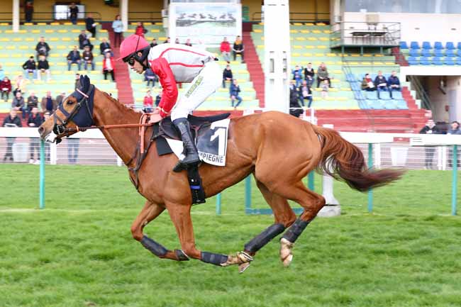 Photo d'arrivée de la course pmu PRIX DE BRISSAC à COMPIEGNE le Jeudi 30 mars 2023