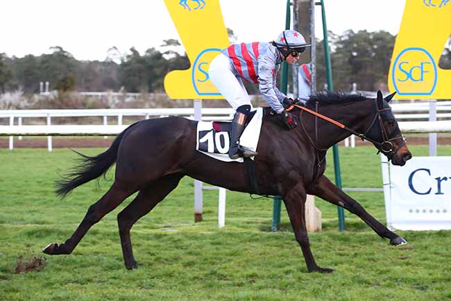 Photo d'arrivée de la course pmu PRIX DE LA COMMUNAUTE D'AGGLOMERATION DU PAYS DE FONTAINEBLEAU à FONTAINEBLEAU le Samedi 1 avril 2023