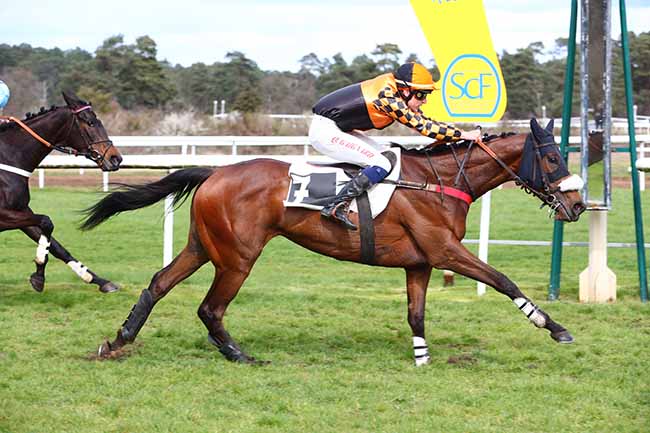 Photo d'arrivée de la course pmu PRIX QUAZVIN II à FONTAINEBLEAU le Samedi 1 avril 2023