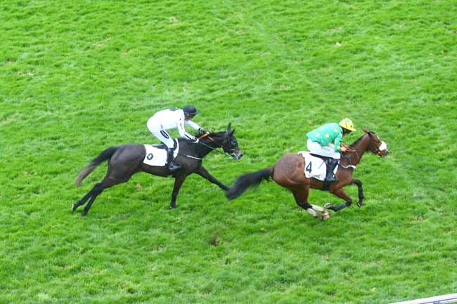 Photo d'arrivée de la course pmu PRIX GEOGRAPHIE à AUTEUIL le Dimanche 2 avril 2023