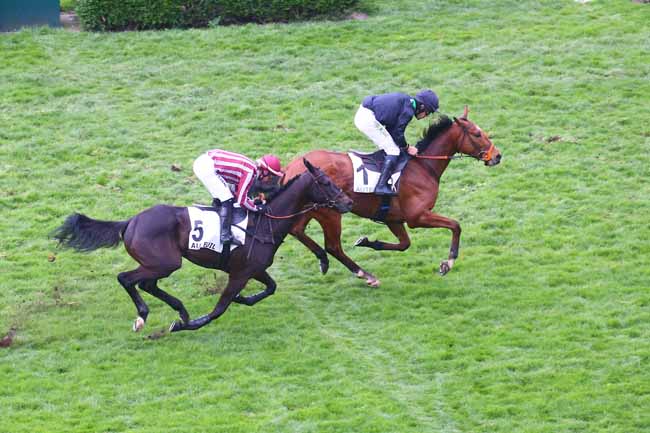 Photo d'arrivée de la course pmu PRIX FLEURET à AUTEUIL le Dimanche 2 avril 2023