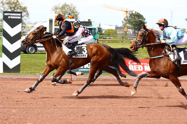 Photo d'arrivée de la course pmu PRIX FLORENCE LECELLIER à ANGERS le Mercredi 5 avril 2023