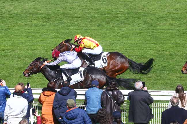 Photo d'arrivée de la course pmu PRIX DE SAINT-LO à DEAUVILLE le Jeudi 6 avril 2023