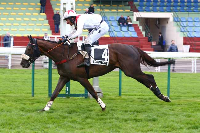 Photo d'arrivée de la course pmu PRIX SACCAGEUR à COMPIEGNE le Jeudi 6 avril 2023