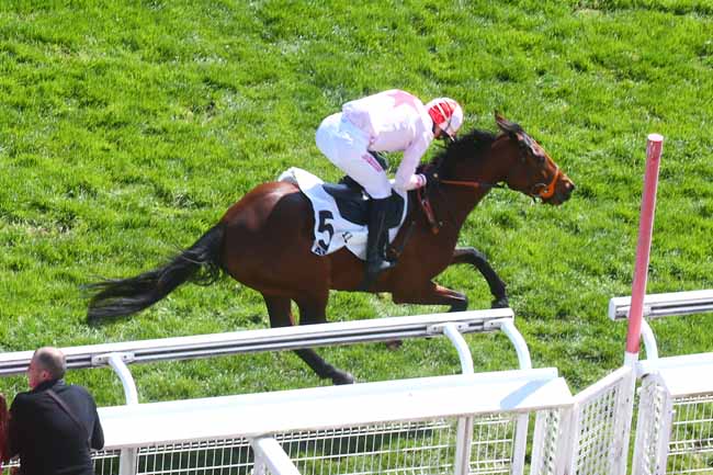Photo d'arrivée de la course pmu PRIX CHAMPOREAU à AUTEUIL le Samedi 8 avril 2023