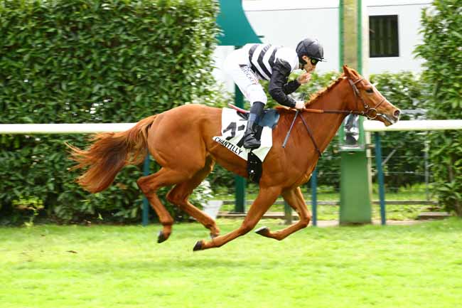 Photo d'arrivée de la course pmu PRIX DU PREMIER PAS à CHANTILLY le Mardi 11 avril 2023
