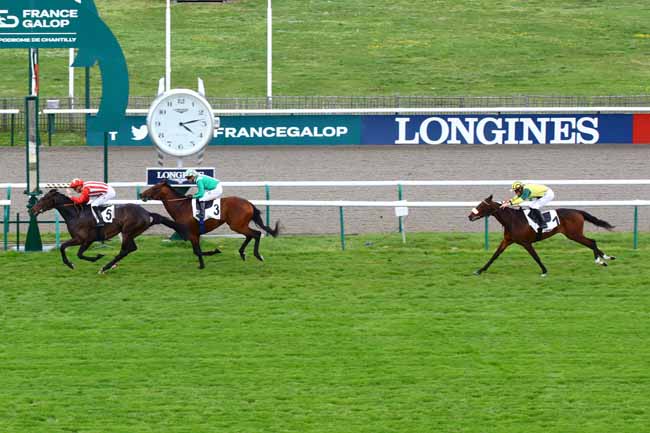 Photo d'arrivée de la course pmu PRIX DU CHAMP D'ALOUETTE à CHANTILLY le Mardi 11 avril 2023