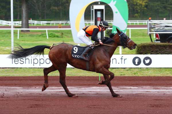 Photo d'arrivée de la course pmu PRIX IMPACT FM (PRIX DE MARSEILLE) à LYON PARILLY le Mercredi 12 avril 2023