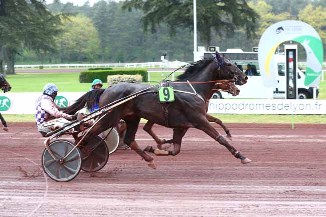 Photo d'arrivée de la course pmu PRIX DE LA MFR DU FOREZ (PRIX DE BORDEAUX) à LYON PARILLY le Mercredi 12 avril 2023