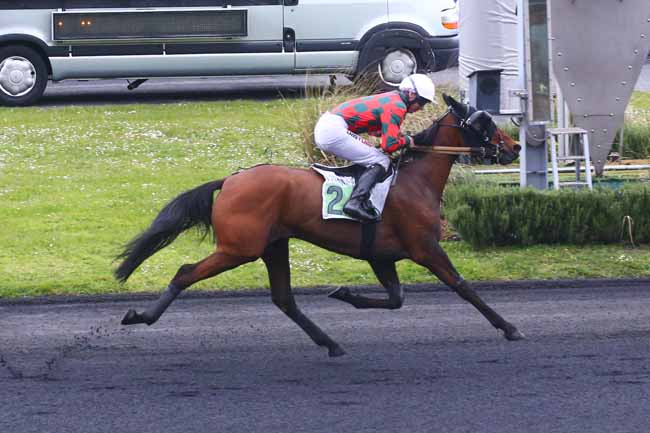 Photo d'arrivée de la course pmu PRIX HEMINE à PARIS-VINCENNES le Samedi 15 avril 2023