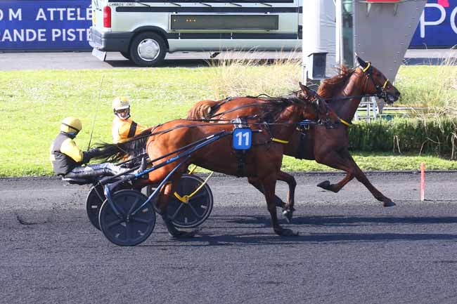 Photo d'arrivée de la course pmu PRIX HENRI LEVESQUE à PARIS-VINCENNES le Samedi 15 avril 2023