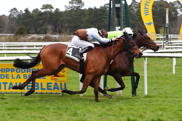 Photo d'arrivée de la course pmu PRIX YVES SAINT-MARTIN à FONTAINEBLEAU le Samedi 15 avril 2023
