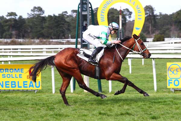 Photo d'arrivée de la course pmu PRIX DE L'HIPPODROME DE RAMBOUILLET (PRIX DE LARCHANT) à FONTAINEBLEAU le Samedi 15 avril 2023