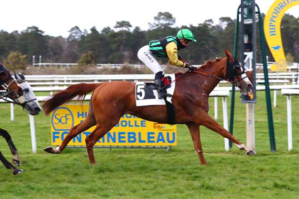 Photo d'arrivée de la course pmu PRIX DE CHATEAU LANDON à FONTAINEBLEAU le Samedi 15 avril 2023