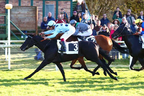 Photo d'arrivée de la course pmu PRIX DES SENTIERS DENECOURT à FONTAINEBLEAU le Samedi 15 avril 2023