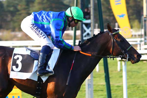 Photo d'arrivée de la course pmu PRIX DES PINS à FONTAINEBLEAU le Samedi 15 avril 2023