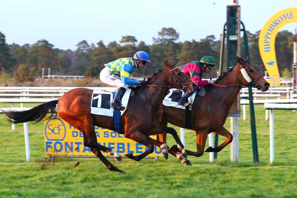 Photo d'arrivée de la course pmu PRIX DU LABEL EQUURES (PRIX DU LONG ROCHER) à FONTAINEBLEAU le Samedi 15 avril 2023